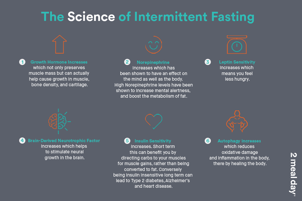 Science Of Intermittent Fasting