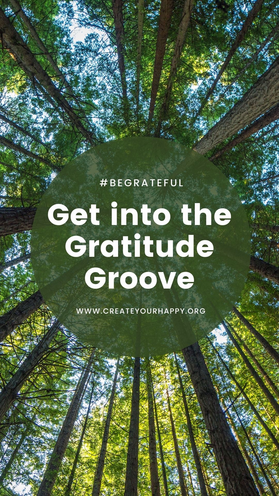 Get into the Gratitude Groove