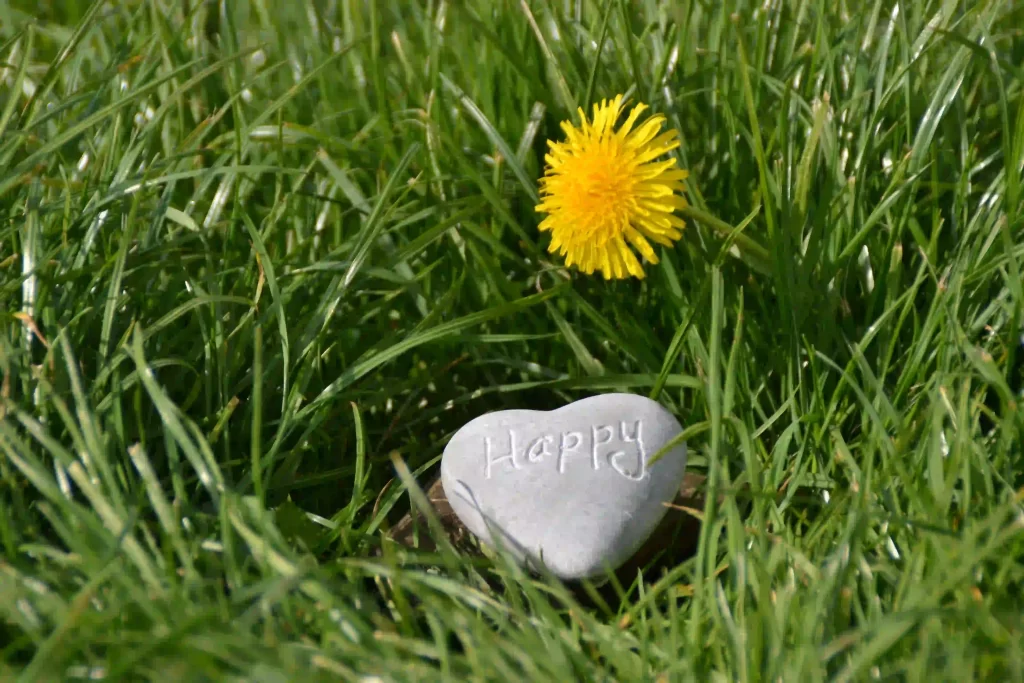 Heart-shaped stone inscribed with 'Happy' for a happiness-enhancement article.