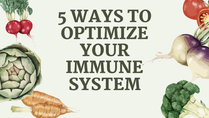 5 Ways to Optimize Your Immune System